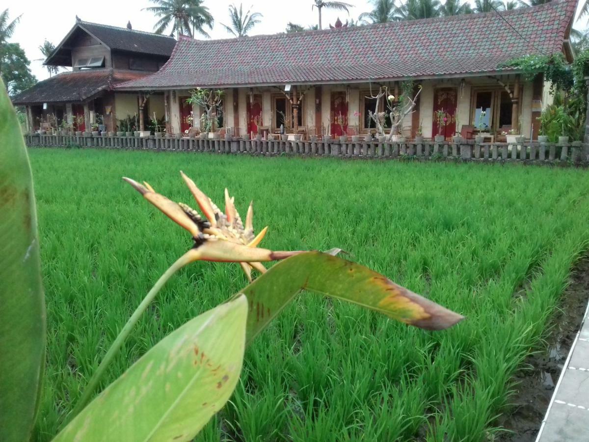 Rice Padi Artha Hotel Ubud Kültér fotó